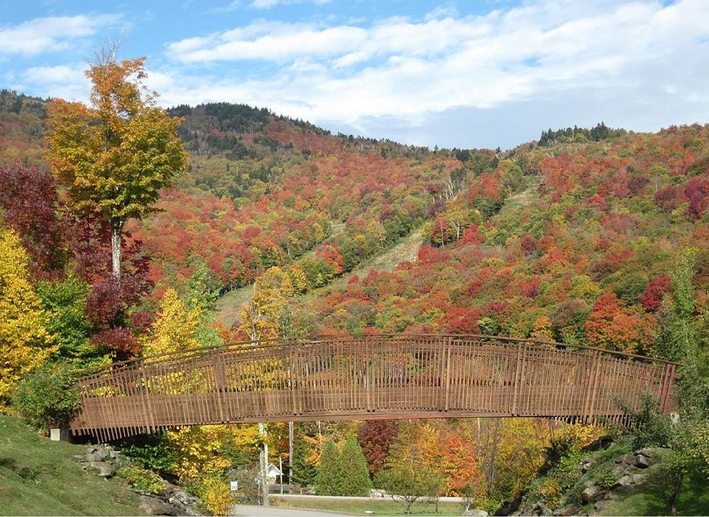 Ski In/Out Trailside Townhome Killington Buitenkant foto