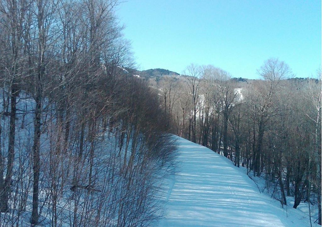 Ski In/Out Trailside Townhome Killington Buitenkant foto